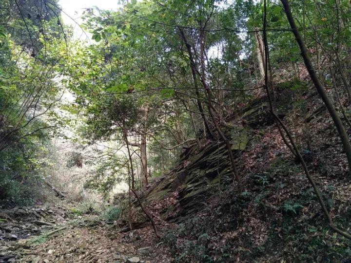 电脑腾讯会议外放没有声音游戏画面