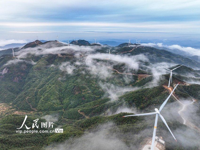 你觉得周星驰的电影美学如何？游戏画面